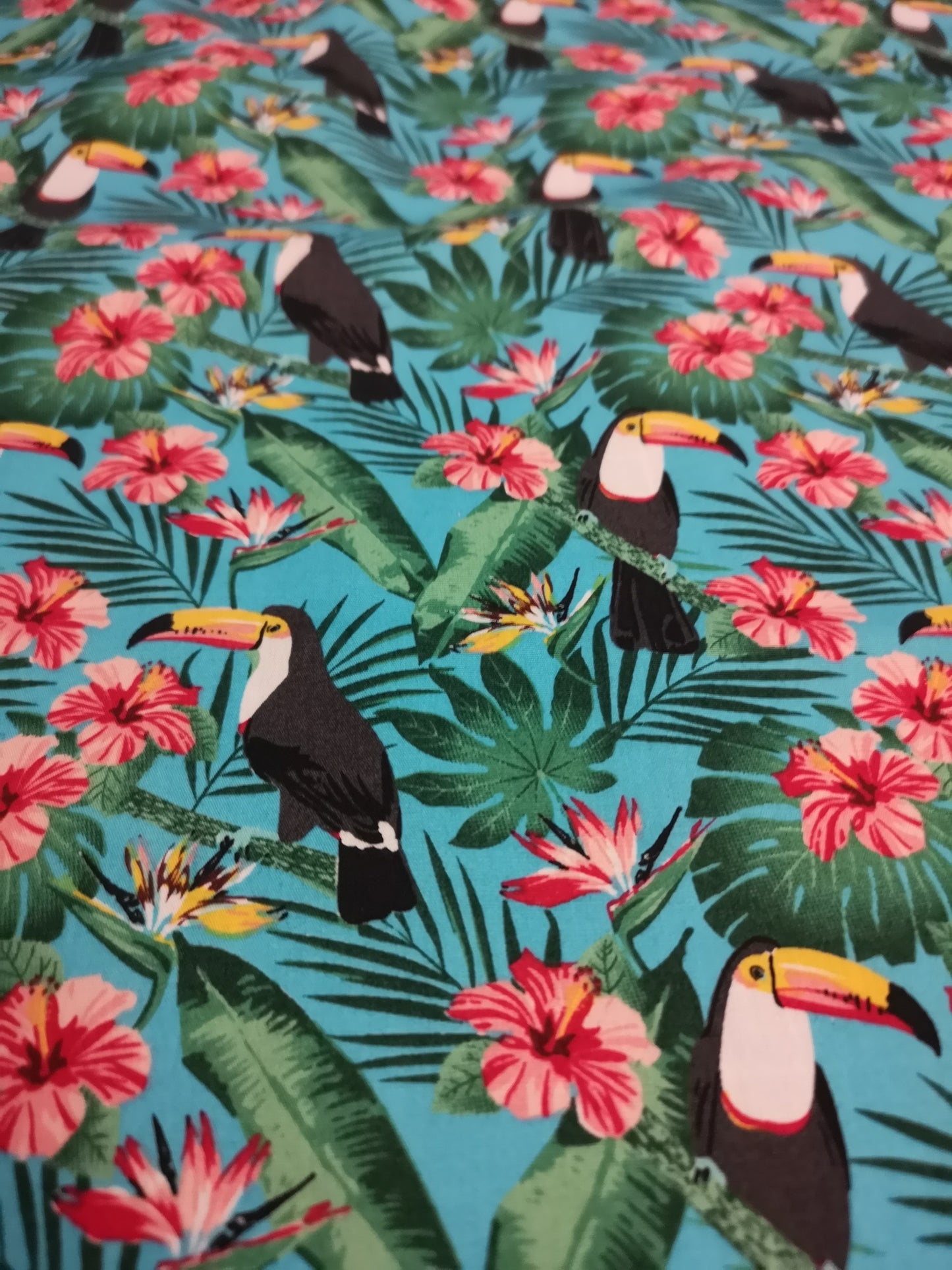 Rose & Hubble Cotton and Poplin Nature Prints: exotic birds, parrots, toucans, pineapple, tutti frutti, squirrels, animals, ABC